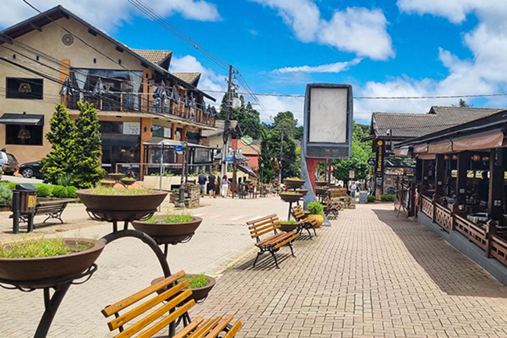 Quer se desconectar da correria e se reconectar com a natureza? Descubra onde fica Monte Verde!